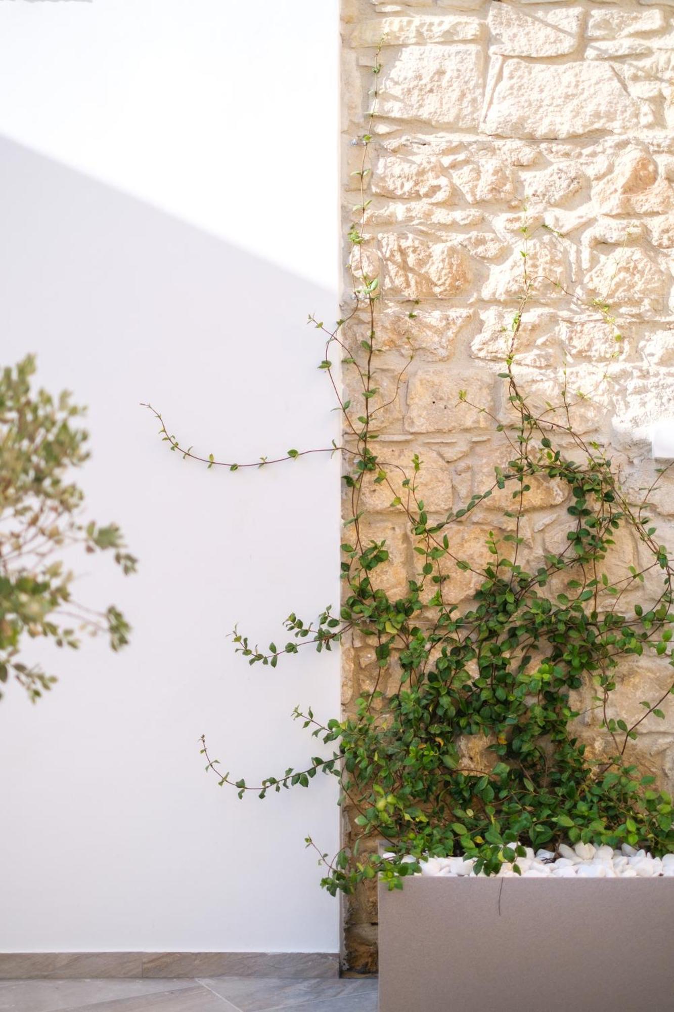 Royal Stay Luxury Homes Paphos Eksteriør bilde